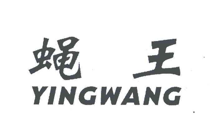 蝇王