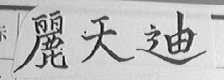 丽天迪