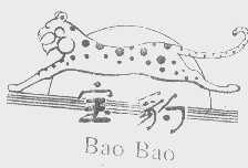 宝豹