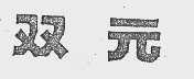 双元