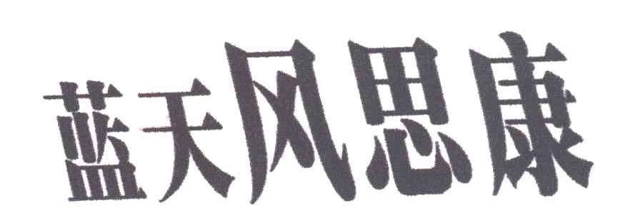 蓝天风思康