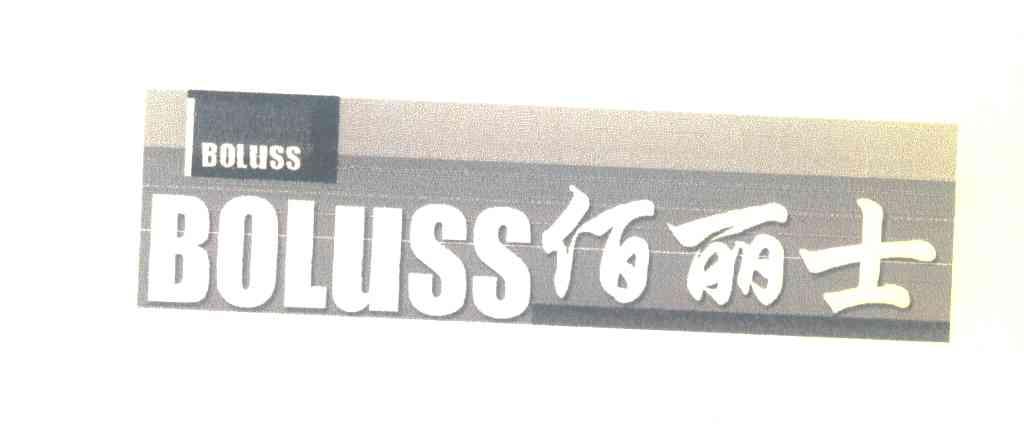 佰丽士 BOLUSS