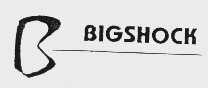 BIGSHOCK