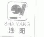 沙阳