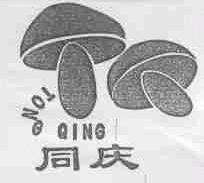 同庆