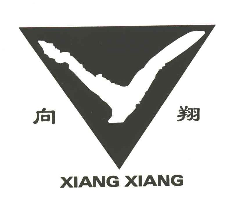 向翔;V