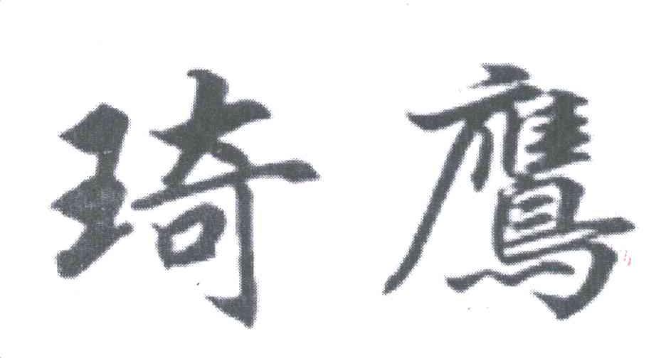 琦鹰