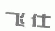 飞仕