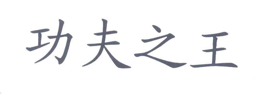 功夫之王