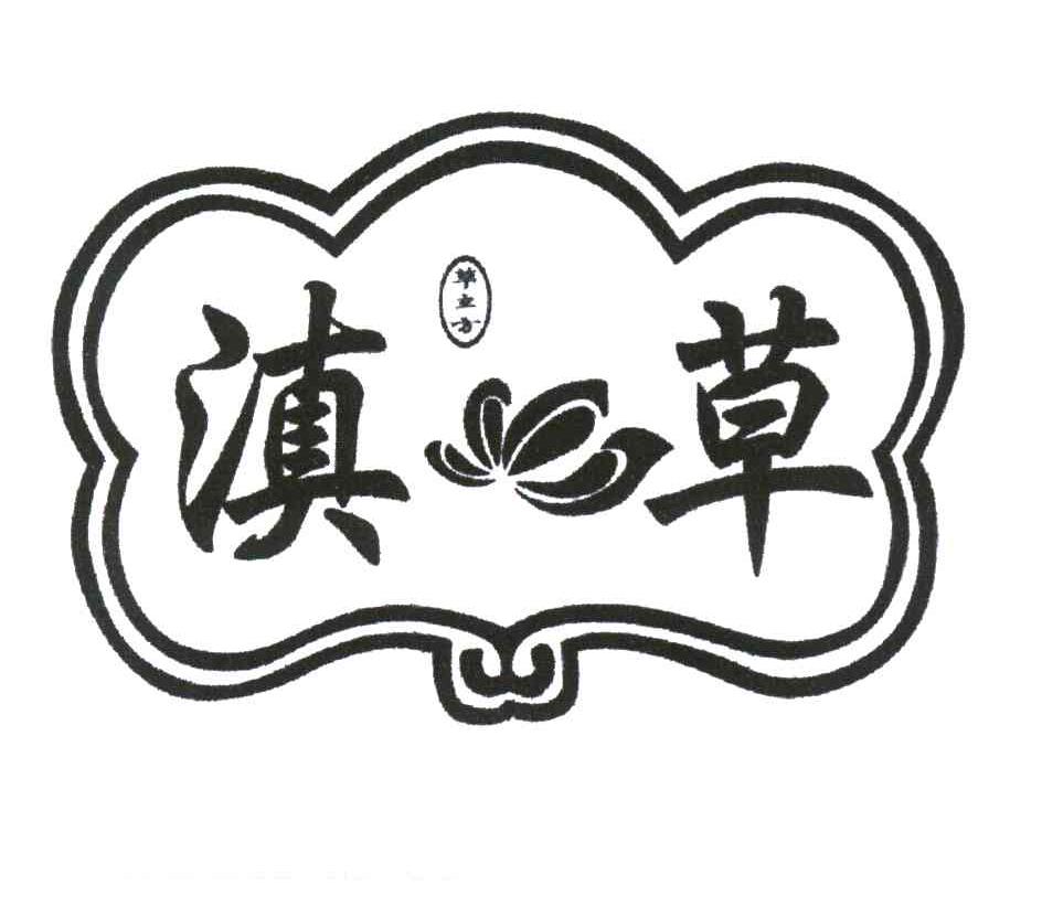 滇草 草立方