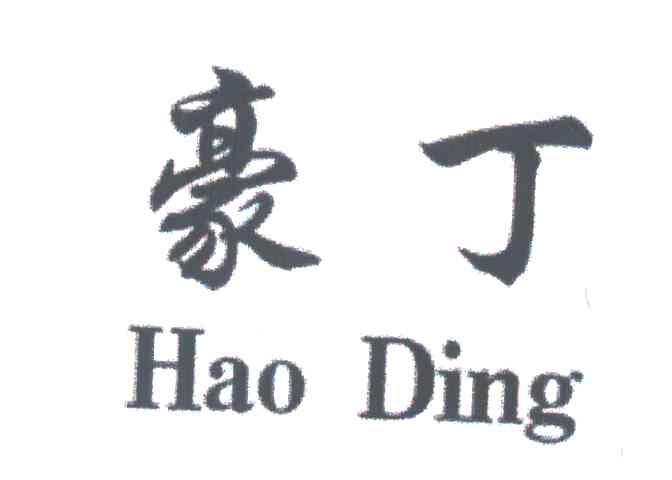 豪丁