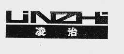 凌治