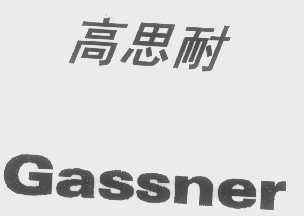 高思耐   GASSNER