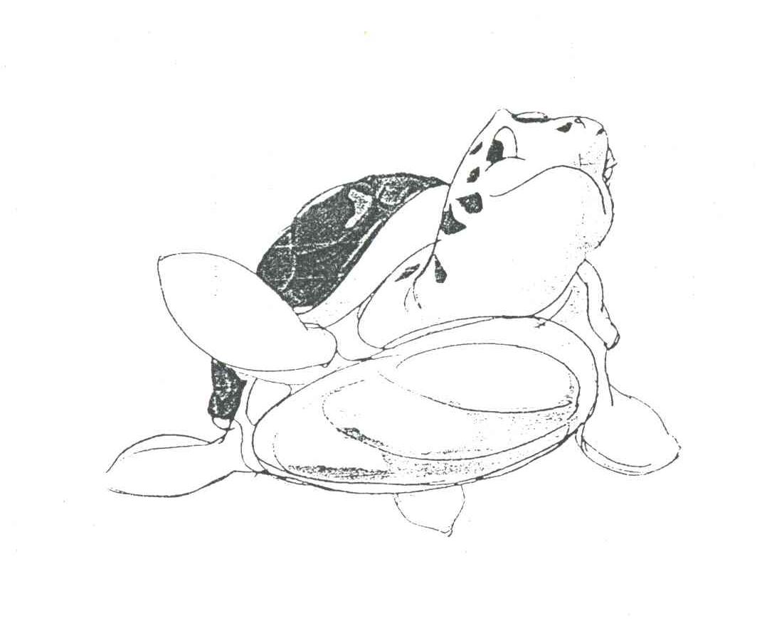 图形