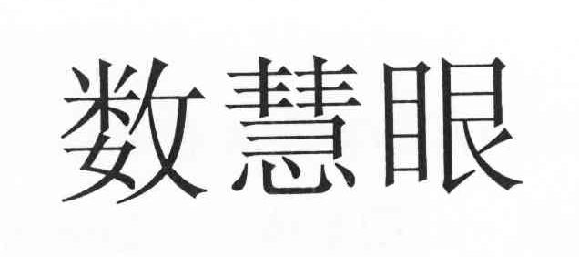 数慧眼