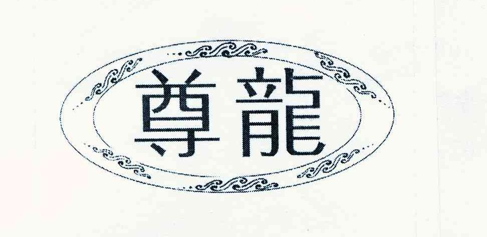 尊龙