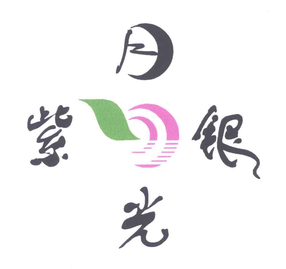 紫月银光