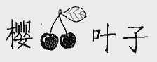 樱叶子