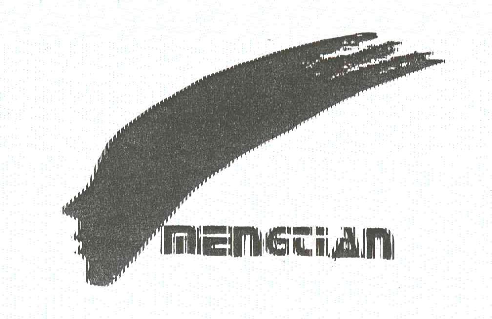MENG TIAN