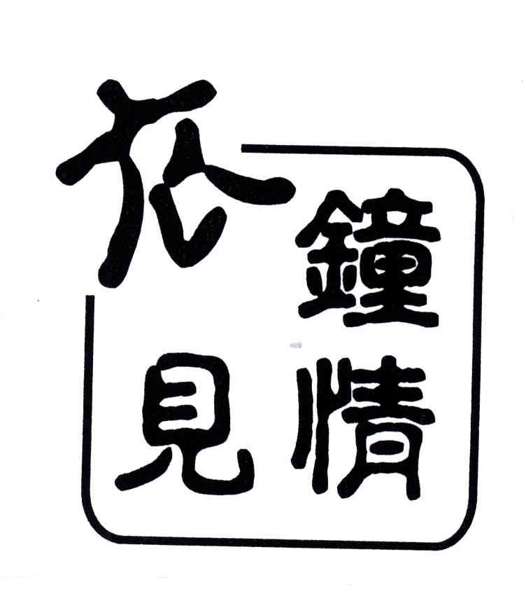 衣见钟情