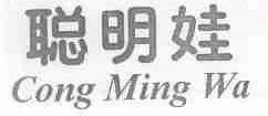 聪明娃