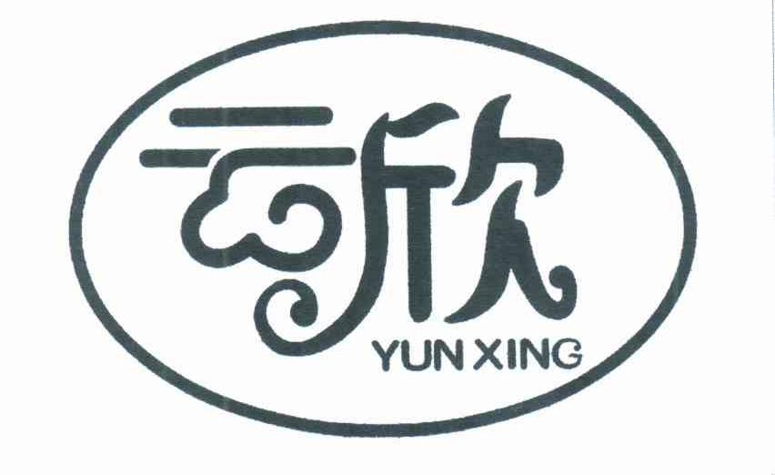 云欣;YUN XING