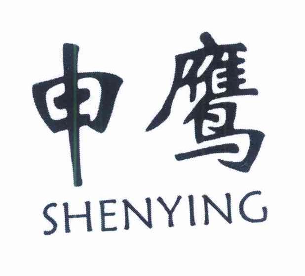 申鹰