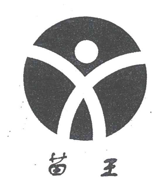 苗王