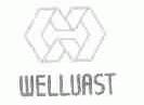 WELLVAST