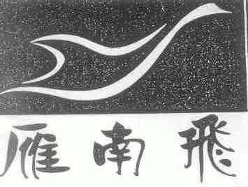 雁南飞