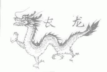 长龙