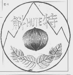 斛特