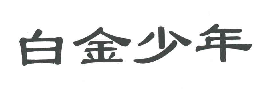 白金少年
