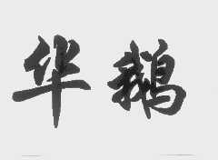 华鹅