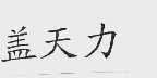 盖天力