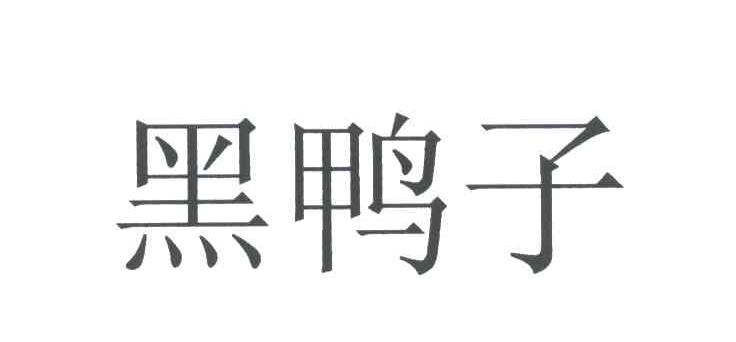 黑鸭子