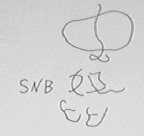 史奴比 SNB