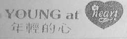 年轻的心    YOUNG AT HEART