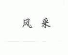 风采