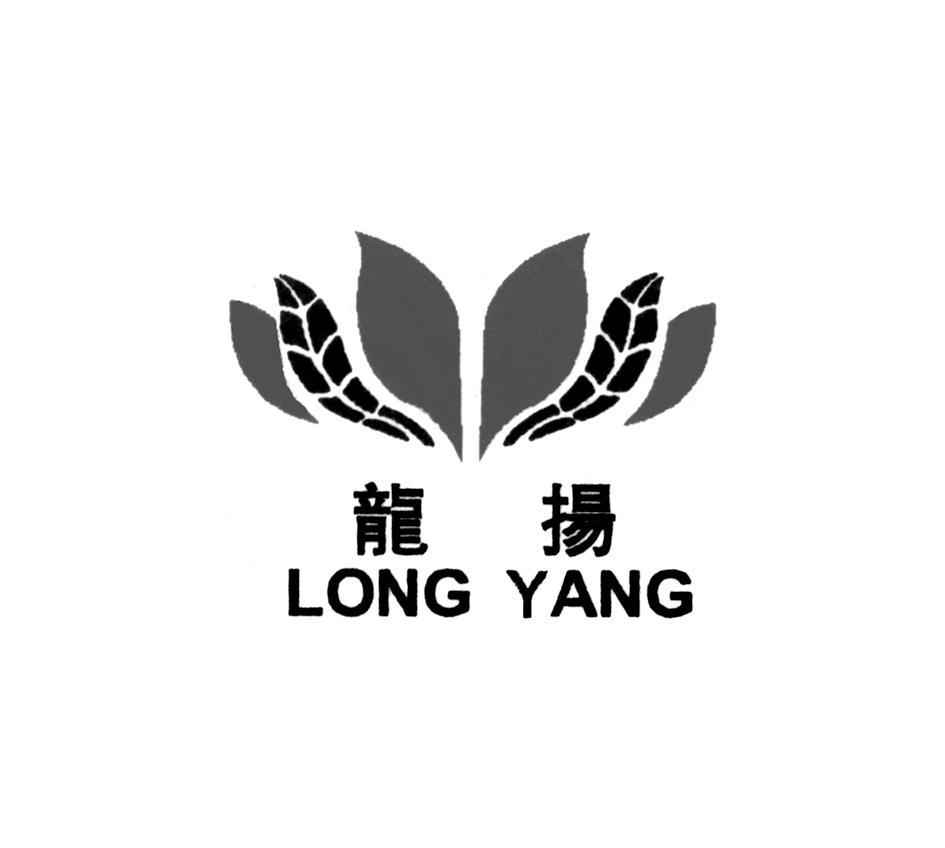 龙扬