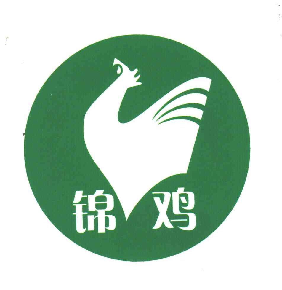 锦鸡