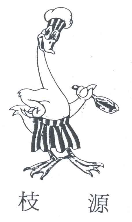 枝源