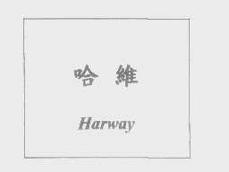 哈维   HARWAY