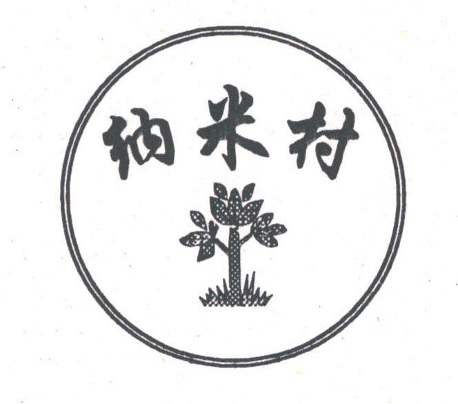纳米村