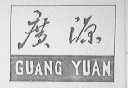 广源