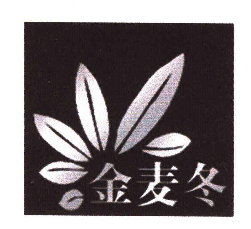 金麦冬