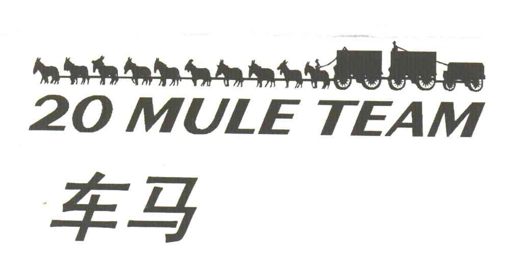 车马;20 MULE TEAM