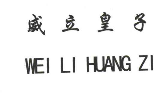威立皇子