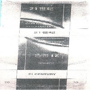 世纪;21