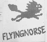 FLYINGNORSE